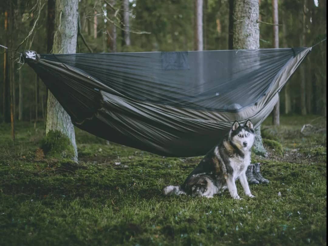 Underquilt „Bebra kailis“