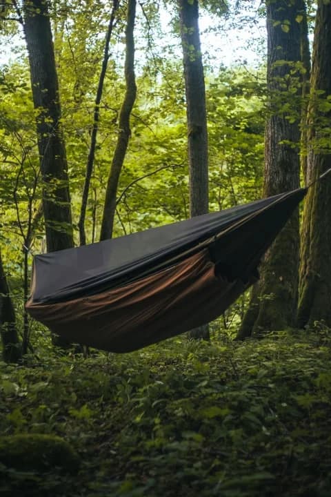 Underquilt „Bebra kailis“ - Image 5