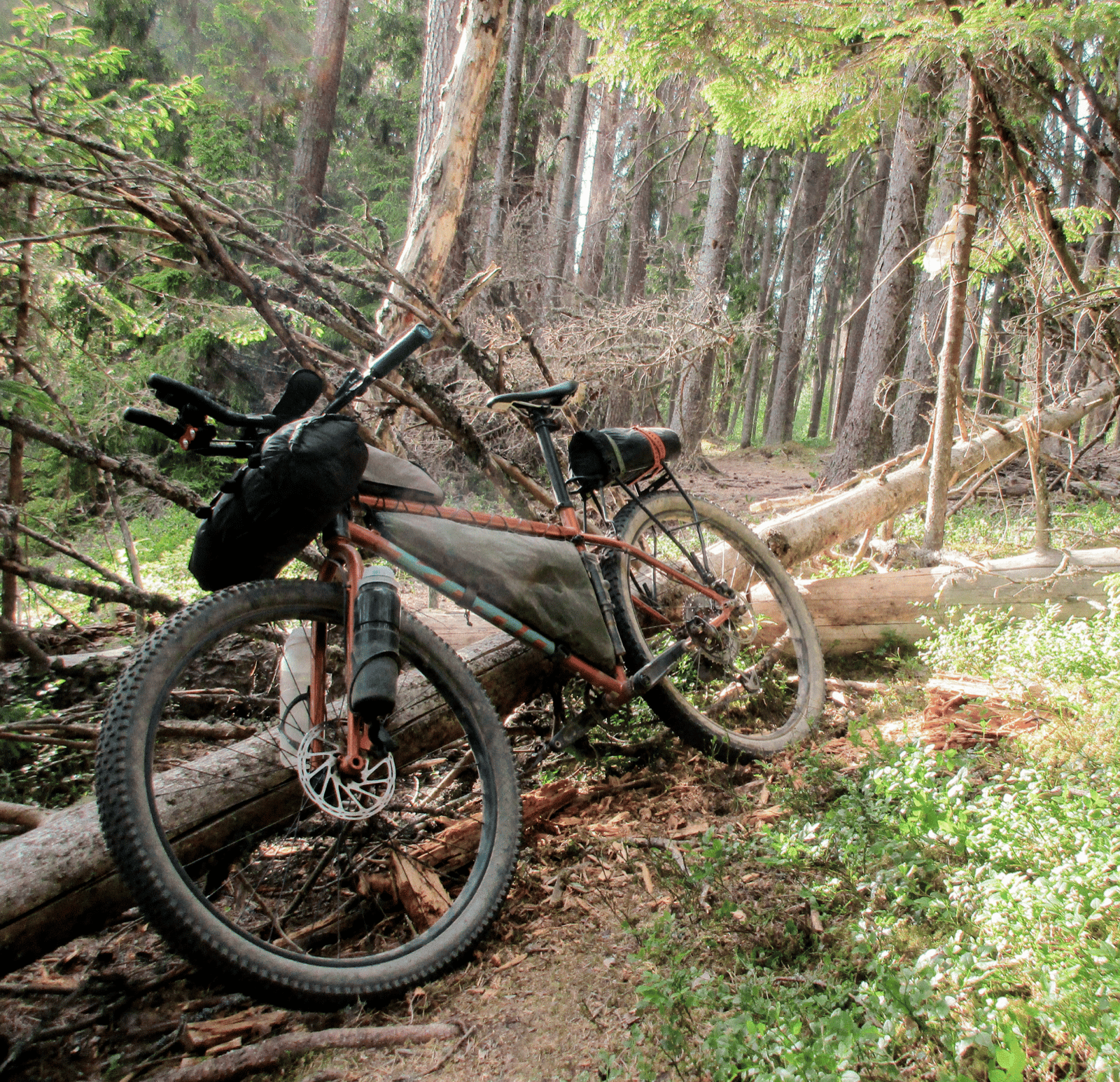 MTB dviratis Kona Unit X (L) - Image 5